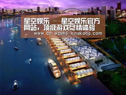 案例展示八