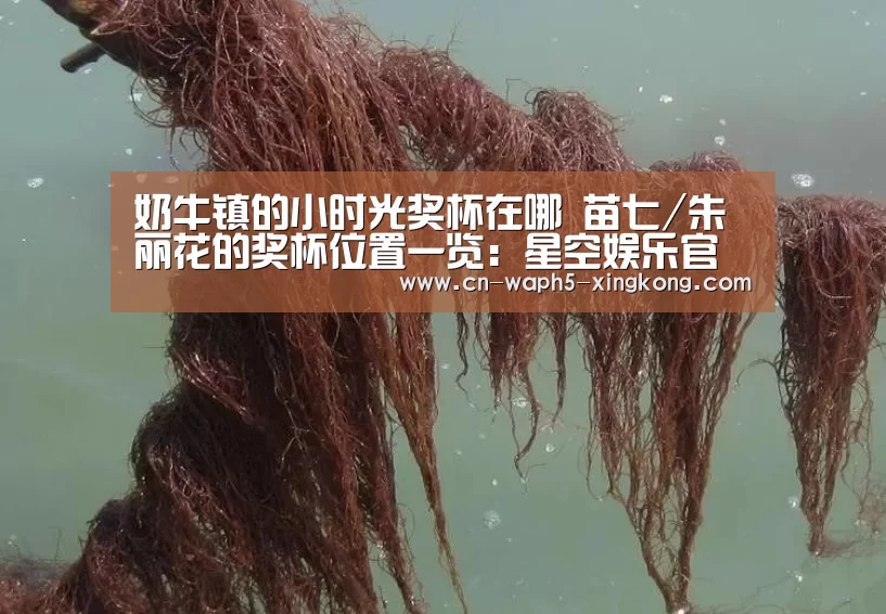 奶牛镇的小时光奖杯在哪 苗七/朱丽花的奖杯位置一览:星空娱乐官网(图1) 星空娱乐下载