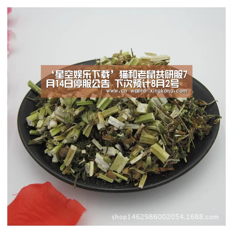 ‘星空娱乐下载’猫和老鼠共研服7月14日停服公告 下次预计8月2号开服(图1) 星空娱乐app