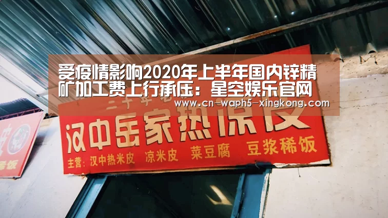 受疫情影响2020年上半年国内锌精矿加工费上行承压:星空娱乐官网(图3) 星空娱乐官网
