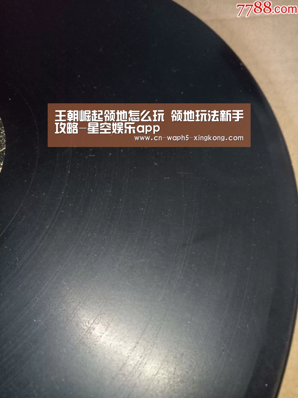 王朝崛起领地怎么玩 领地玩法新手攻略-星空娱乐app(图4) 星空娱乐