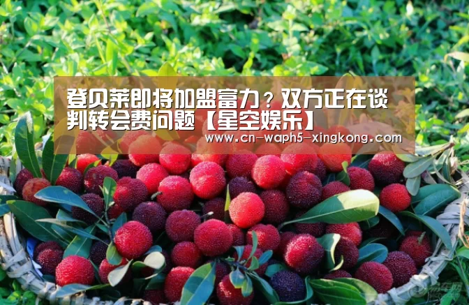 星空娱乐官网