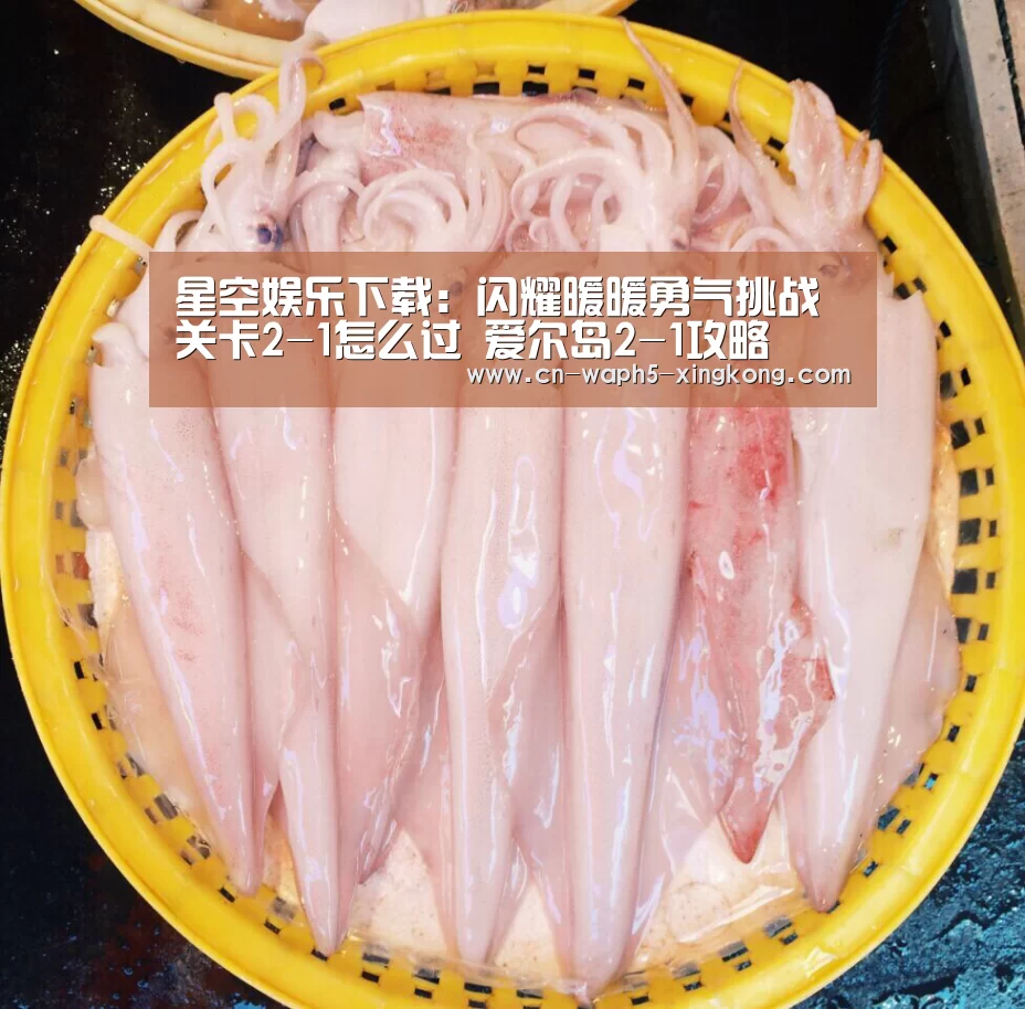 星空娱乐下载